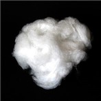 Fibra biosoluble a granel